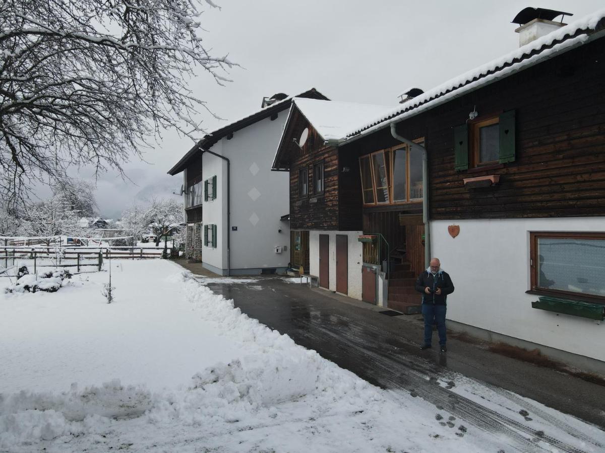 Ferienwohnung Stricker Obertraun Exteriér fotografie