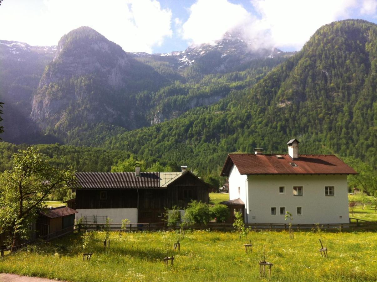 Ferienwohnung Stricker Obertraun Exteriér fotografie